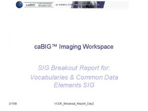 ca BIG Imaging Workspace SIG Breakout Report for