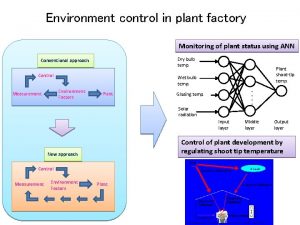 Environment control in plant factory Monitoring of plant