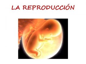 LA REPRODUCCIN La reproduccin es el mecanismo biolgico