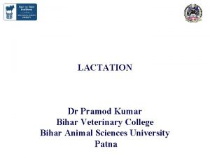 LACTATION Dr Pramod Kumar Bihar Veterinary College Bihar