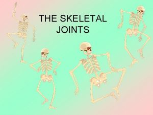 THE SKELETAL JOINTS JOINTS Joints are where two