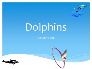 Dolphins By Colby Boren Table of Contents Oceanic