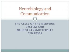 Neurobiology and Communication 1 THE CELLS OF THE