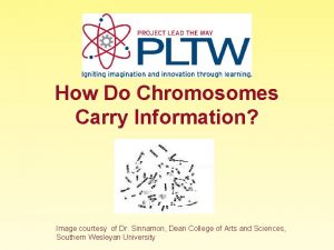 How Do Chromosomes Carry Information Image courtesy of