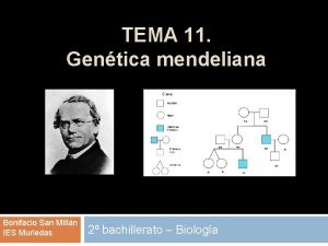 TEMA 11 Gentica mendeliana Bonifacio San Milln IES