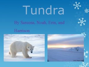Tundra By Sareena Noah Erin and Harrison Tundra