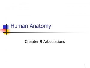 Human Anatomy Chapter 9 Articulations 1 Articulations n