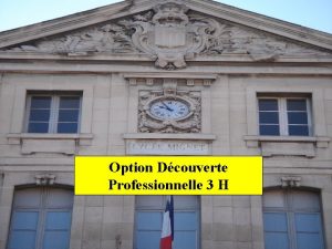 Option Dcouverte Professionnelle 3 H Une option qui