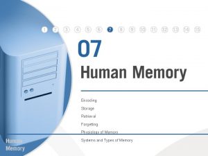 Encoding Storage Retrieval Forgetting Physiology of Memory Systems