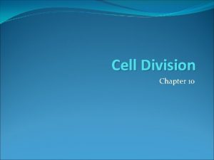 Cell Division Chapter 10 Cell Limitation As Cell