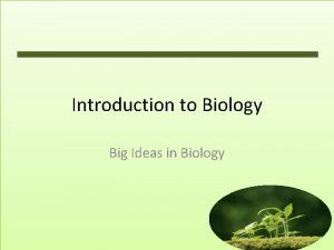 Introduction to Biology Big Ideas in Biology Big