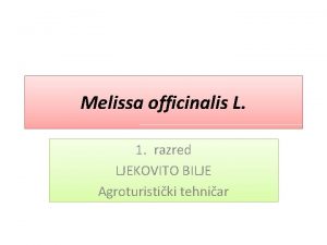 Melissa officinalis L 1 razred LJEKOVITO BILJE Agroturistiki