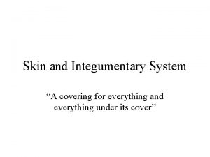 Skin and Integumentary System A covering for everything