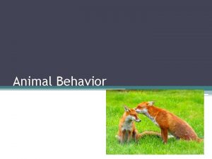 Animal Behavior Behavior The way in which an