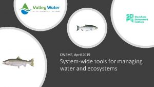 CWEMF April 2019 Systemwide tools for managing water