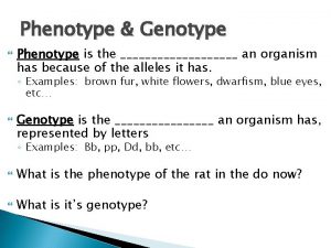 Phenotype Genotype Phenotype is the an organism has