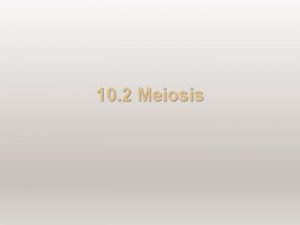 10 2 Meiosis Diploid Haploid Cells Chromosomes in