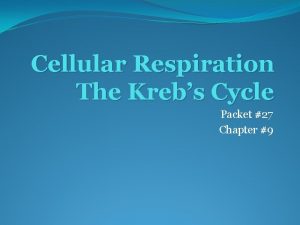 Cellular Respiration The Krebs Cycle Packet 27 Chapter