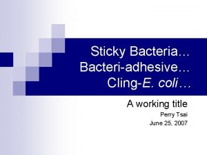 Sticky Bacteria Bacteriadhesive ClingE coli A working title