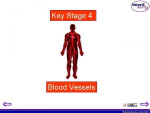 Key Stage 4 Blood Vessels Boardworks Ltd 2003