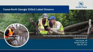 CoosaNorth Georgia 303d Listed Streams 2021 North Georgia
