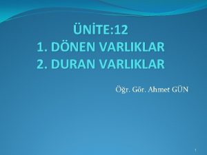 NTE 12 1 DNEN VARLIKLAR 2 DURAN VARLIKLAR