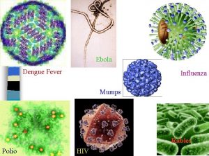Ebola Dengue Fever Influenza Mumps Rabies Polio HIV