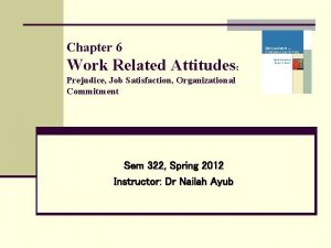 Chapter 6 Work Related Attitudes Prejudice Job Satisfaction