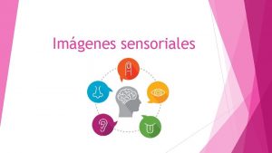 Imgenes sensoriales Qu son las imgenes sensoriales Las