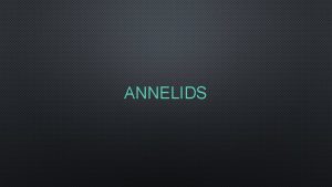 ANNELIDS WHAT IS AN ANNELID BELONG TO THE