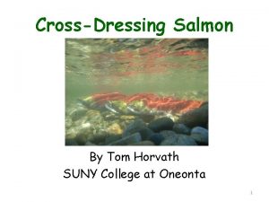 CrossDressing Salmon By Tom Horvath SUNY College at