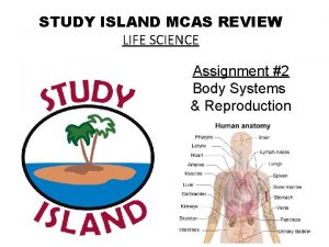 STUDY ISLAND MCAS REVIEW LIFE SCIENCE Assignment 2