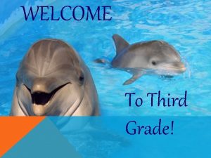 WELCOME To Third Grade THIRD GRADE CURRICULUM 3