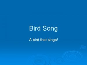 Bird Song A bird that sings Once upon