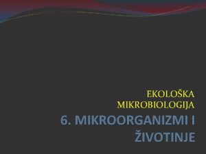 EKOLOKA MIKROBIOLOGIJA 6 MIKROORGANIZMI I IVOTINJE 6 MIKROORGANIZMI