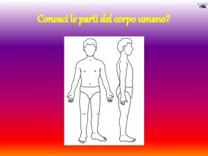 Conosci le parti del corpo umano Le parti