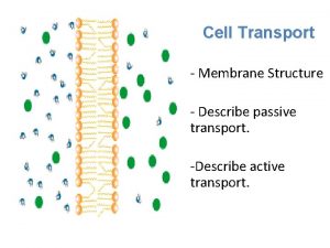 Cell Transport Membrane Structure Describe passive transport Describe
