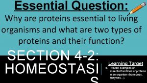 Essential Question Why are proteins essential to living