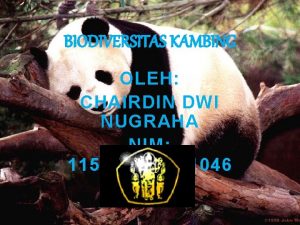 BIODIVERSITAS KAMBING OLEH CHAIRDIN DWI NUGRAHA NIM 115050101111046