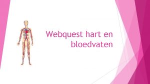 Webquest hart en bloedvaten Wat ga je doen