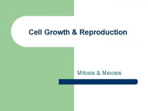 Cell Growth Reproduction Mitosis Meiosis Limits to Cell