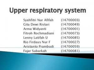 Upper respiratory system Syahfitri Nur Afifah Gita Dewi