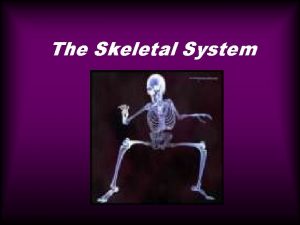 The Skeletal System The Skeletal System Introduction The