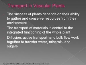 Transport in Vascular Plants The success of plants