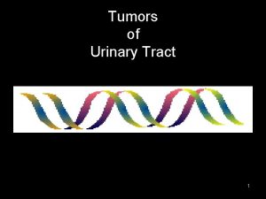 Tumors of Urinary Tract 1 Urinary Tract Neoplasm