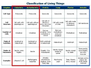 Classification of Living Things Kingdom Eubacteria Archaebacteria Protista