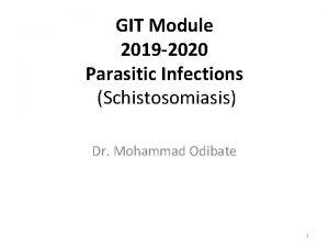 GIT Module 2019 2020 Parasitic Infections Schistosomiasis Dr