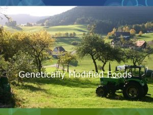 Genetically Modified Foods What are Genetically Modified Organisms