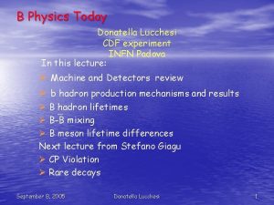 B Physics Today Donatella Lucchesi CDF experiment INFN