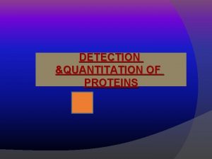 DETECTION QUANTITATION OF PROTEINS What is protein Amino